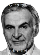 محمود رضائی هنجنی